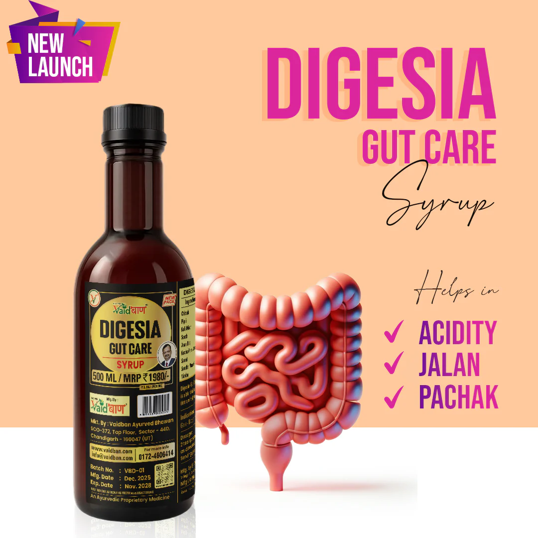 Vaidban Digesia Gut Care Syrup – Natural Relief from Acidity, Gas & Indigestion (500ml - Image 2